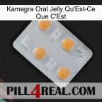 Kamagra Oral Jelly What Is It 24